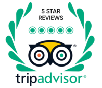 oasis bay party cruise